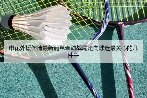 申花外援伤情最新消息牵动战局走向球迷最关心的几件事